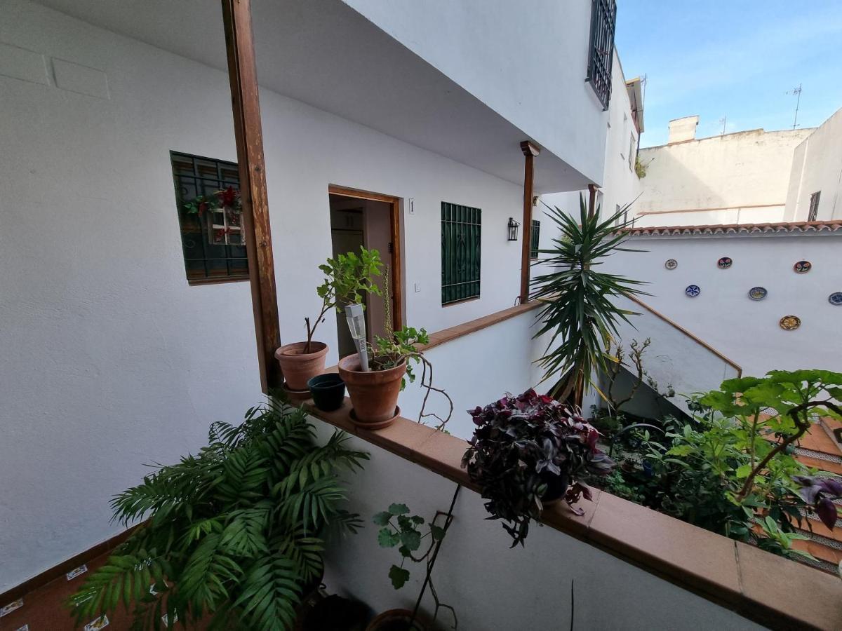 Apartamentos En Patio Cordobes San Basilio Kordoba Bagian luar foto
