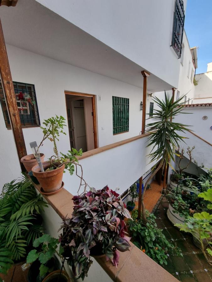 Apartamentos En Patio Cordobes San Basilio Kordoba Bagian luar foto