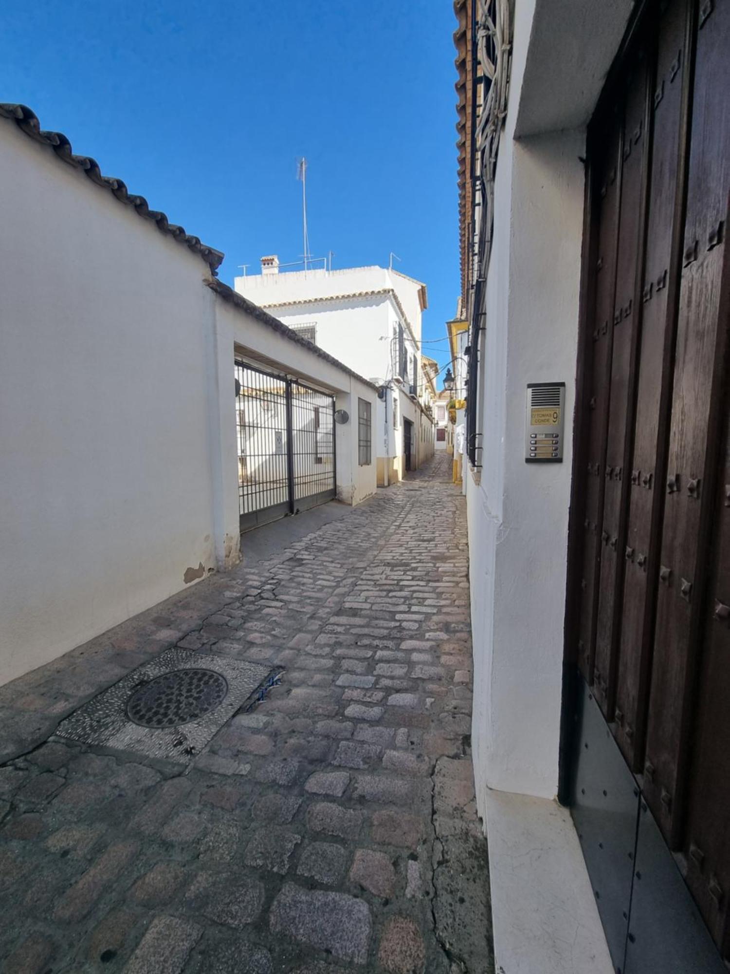 Apartamentos En Patio Cordobes San Basilio Kordoba Bagian luar foto